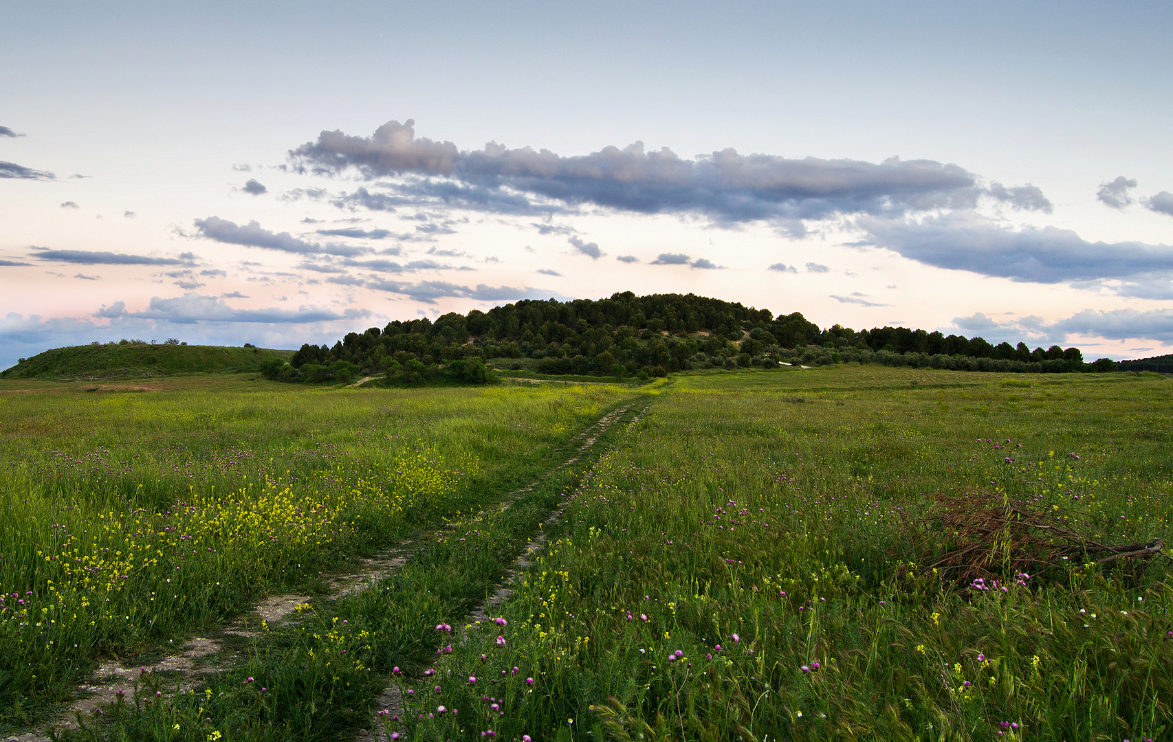 Camino del Pinar