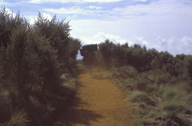 Camino del Uhuru Peak