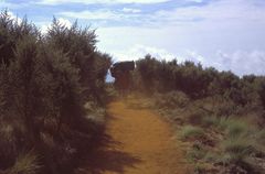 Camino del Uhuru Peak