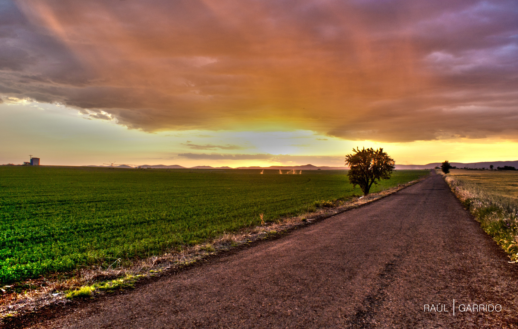 Camino del Vicario HDR