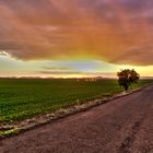 Camino del Vicario HDR