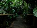 Camino en el Jadín Botánico Lankester, Cartago, Costa Rica de Bryan5b 