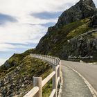 Camino en la costa gallega