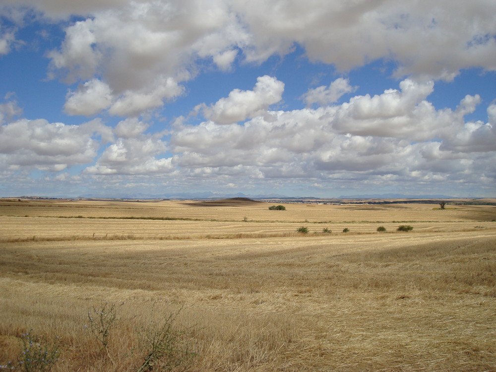 Camino - endlose Weiten auf dem Weg durch die Meseta