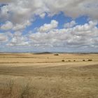 Camino - endlose Weiten auf dem Weg durch die Meseta