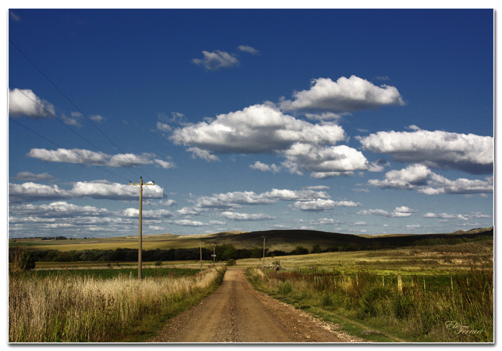 Camino entre las sierras de Azul