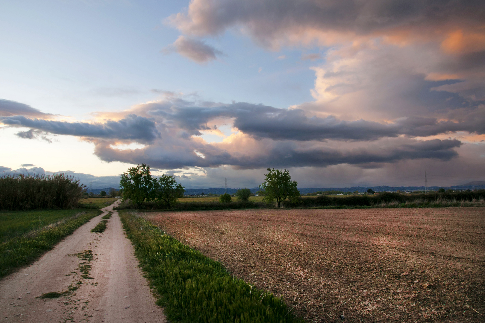 Camino