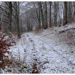 Camino forestal, ya está nevando (Waldweg, schon verschneit) - Dedicada a lolita cecilia