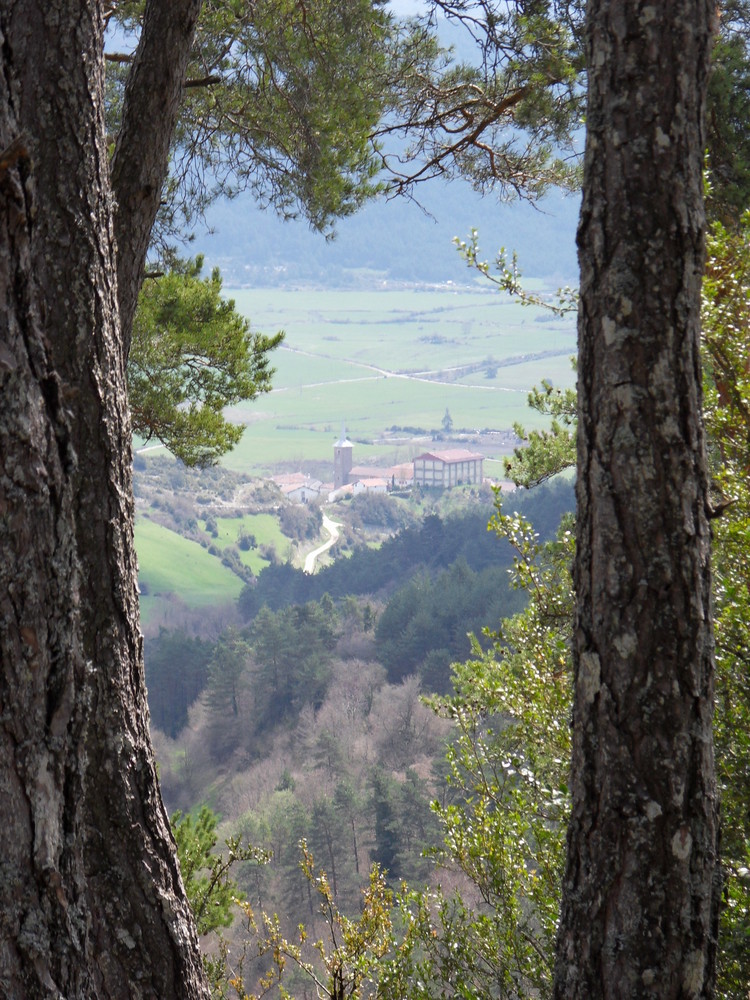 Camino Frances - Jakobsweg