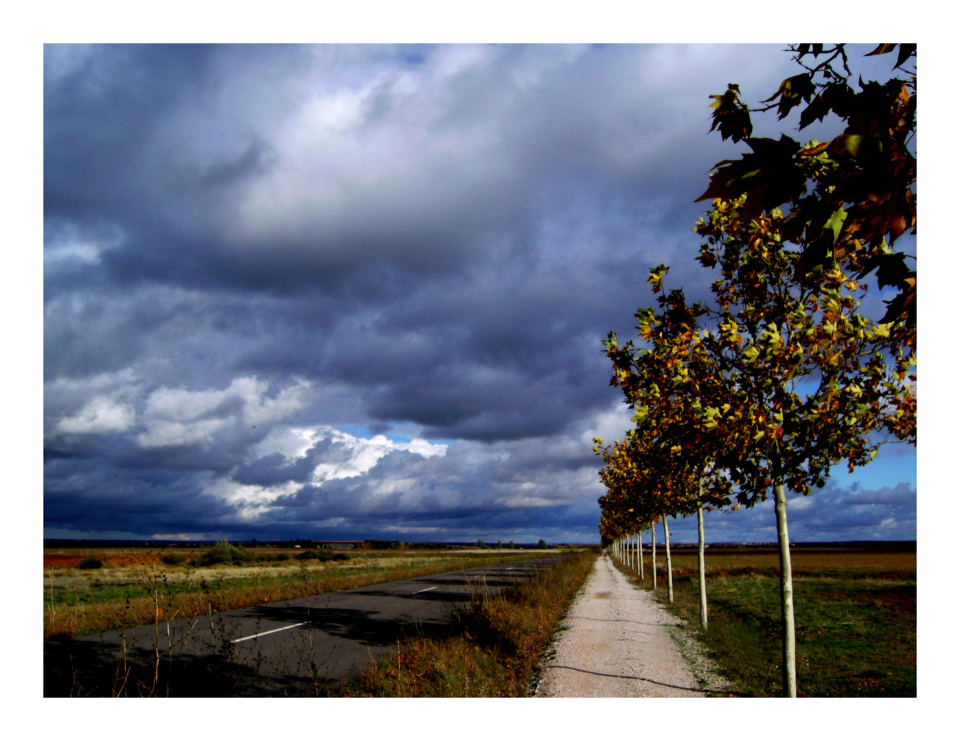 Camino francés, la Meseta fin octobre (suite bis)