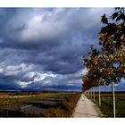 Camino francés, la Meseta fin octobre (suite bis)