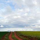 Camino hacia el cielo