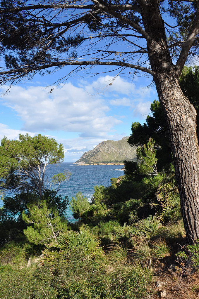 Camino hacia Es Caló - Mallorca