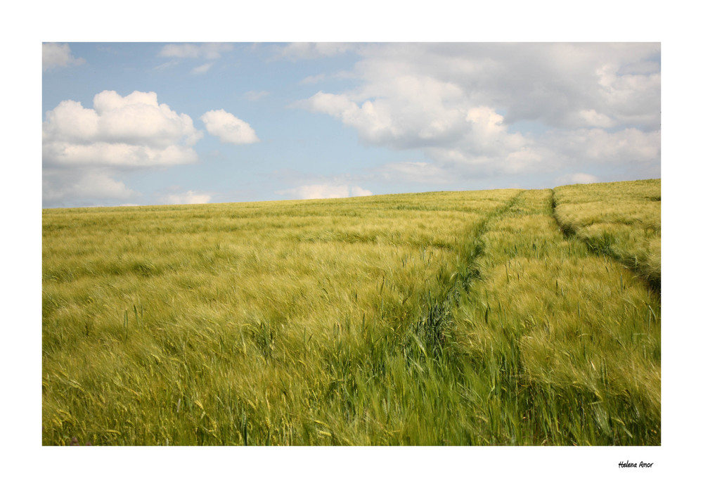 Camino hacia las nubes