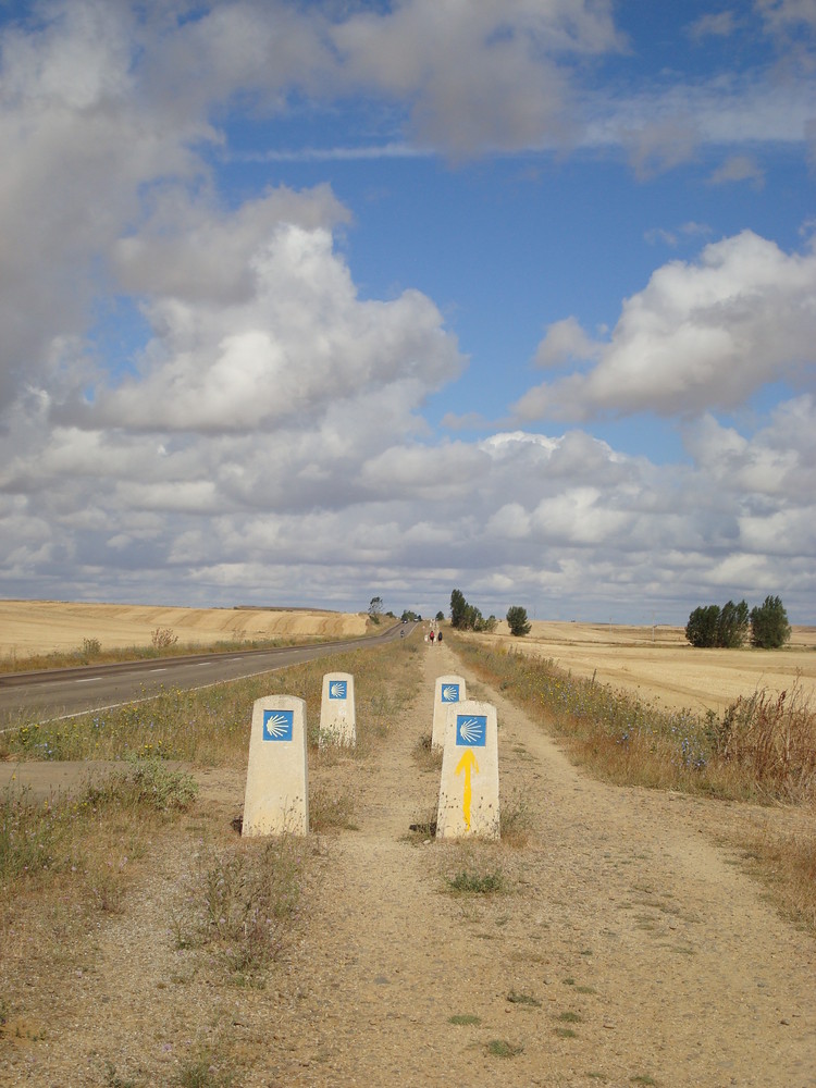 Camino - hier gehts lang . . .