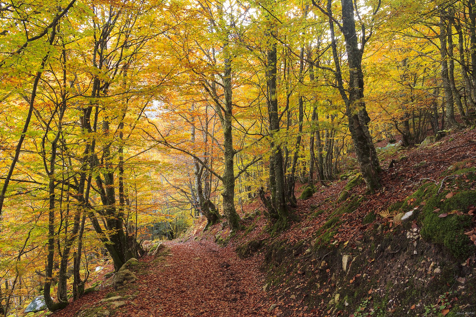 Camino interior.