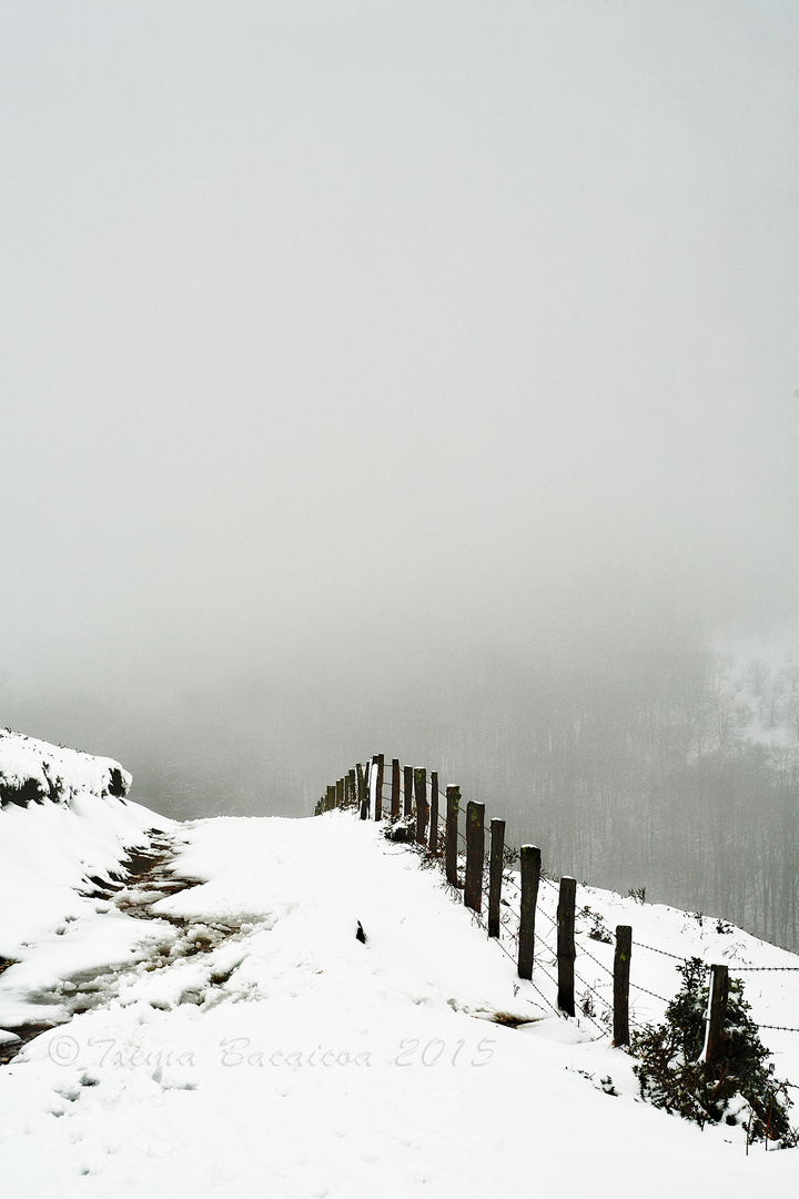 Camino invernal