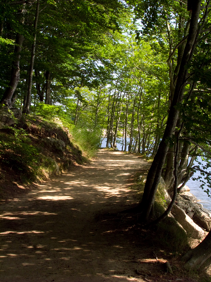 Camino junto al Embalse de Sta. Fé del Montseny en verano