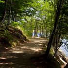 Camino junto al Embalse de Sta. Fé del Montseny en verano