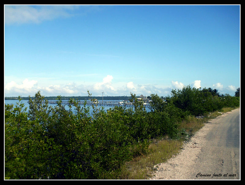 Camino junto al mar