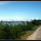 Camino junto al mar