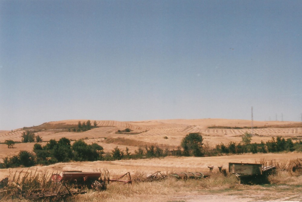 Camino - Landwirtschaft in der Meseta