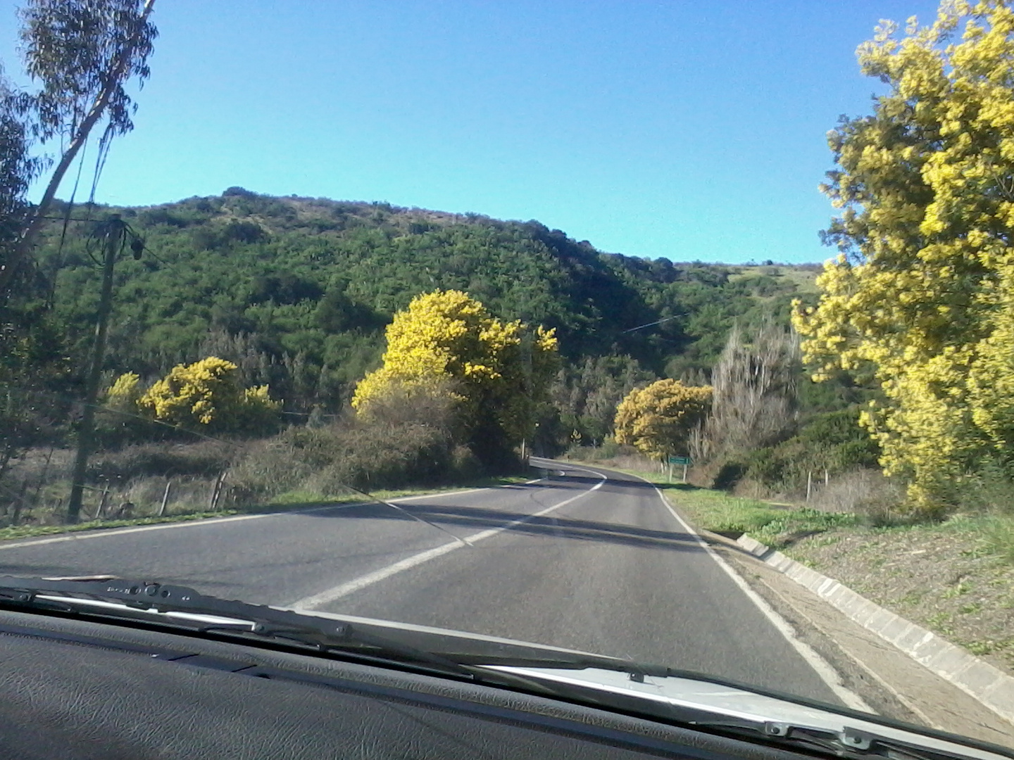 Camino Litueche, Regiòn del Libertador Bernardo O`higgins