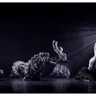 Camino luz