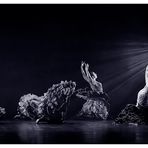 Camino luz