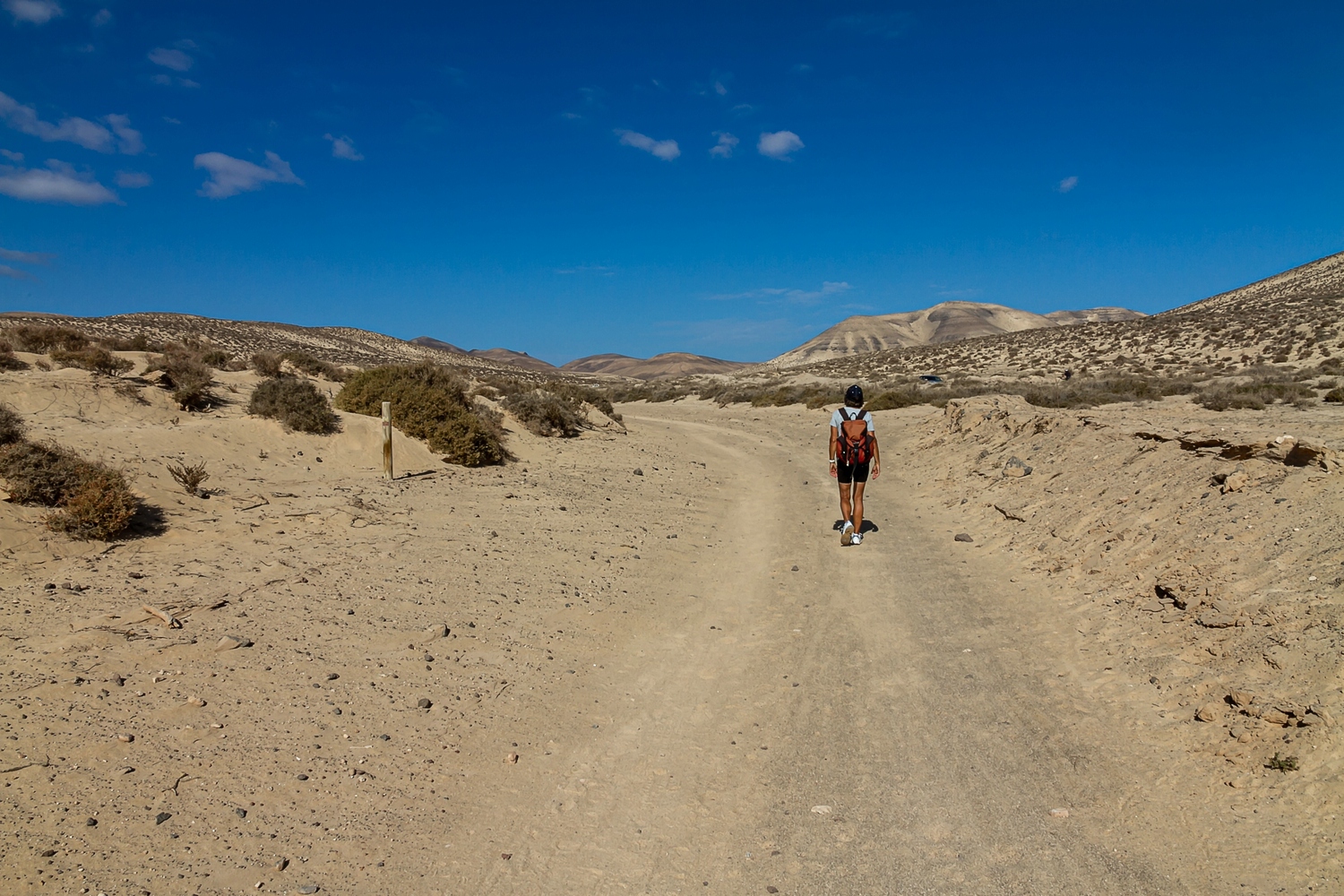 Camino Natural