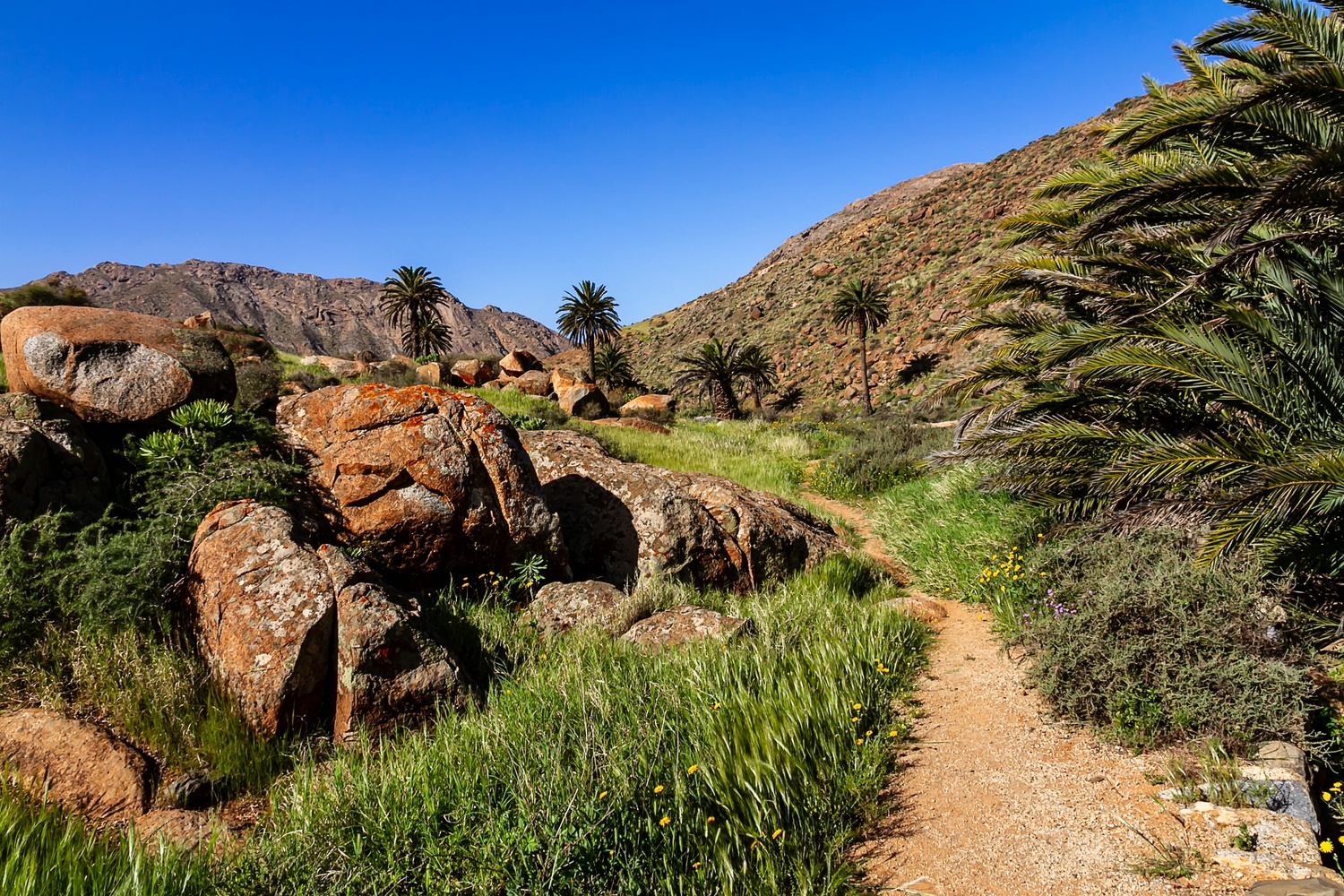 Camino Natural de Fuerteventura