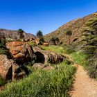 Camino Natural de Fuerteventura