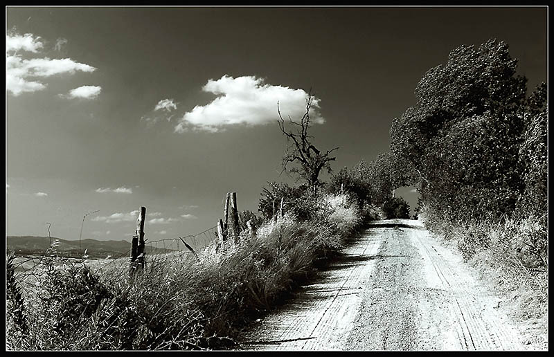 camino nel cielo