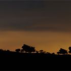 Camino-Panorama