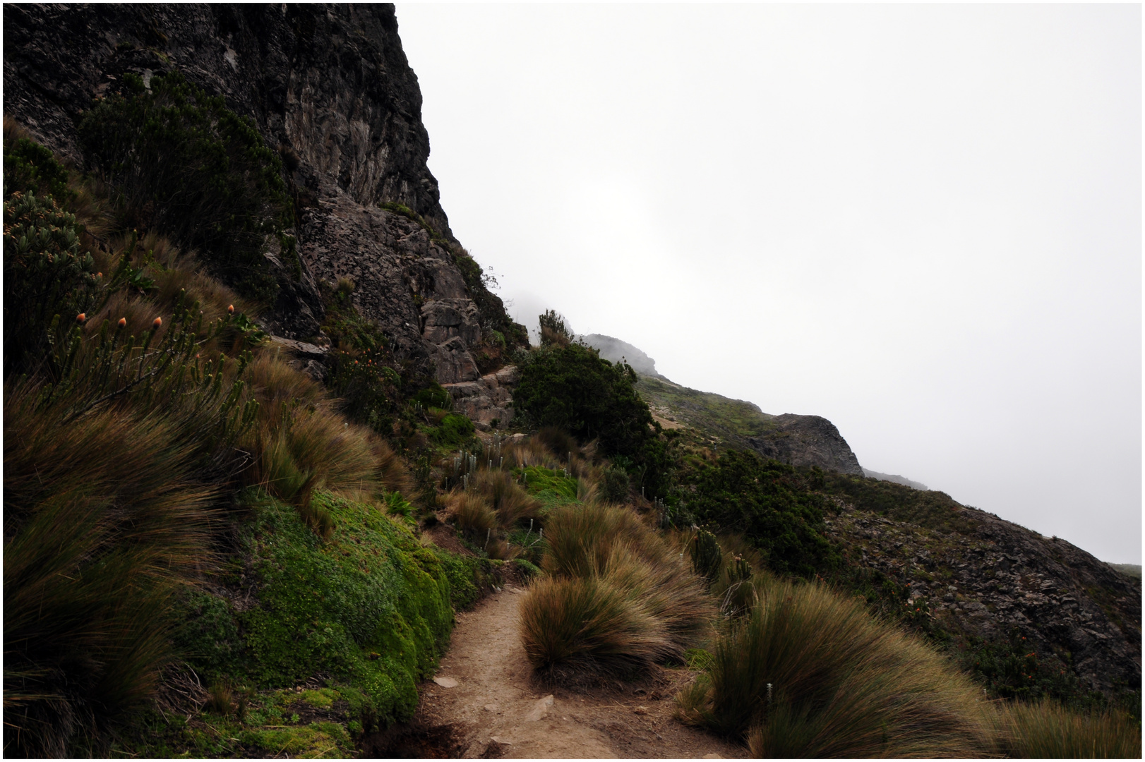 Camino pequeño