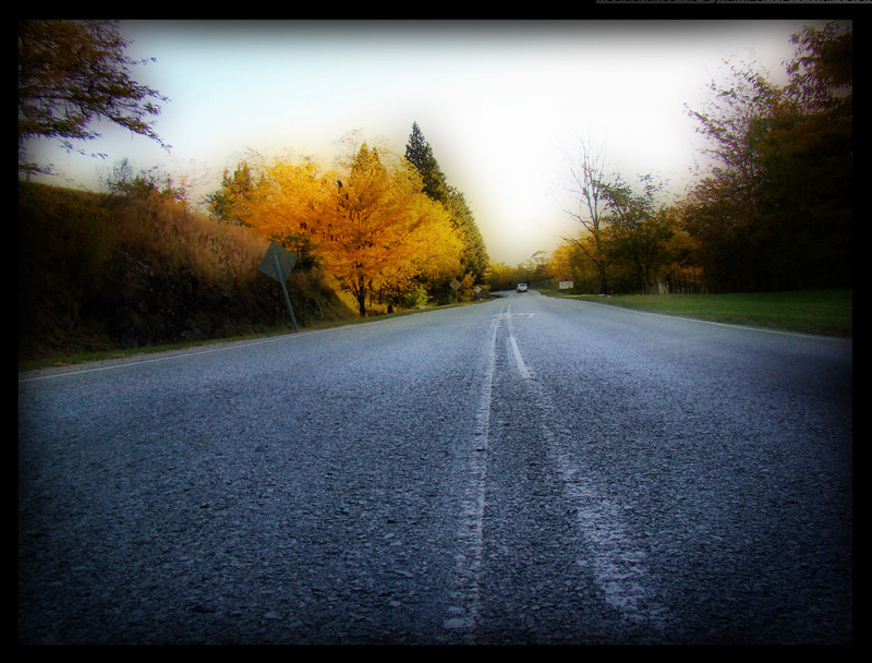 Camino por la ruta