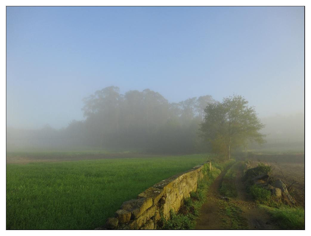 Camino Portugues 2011 (1)