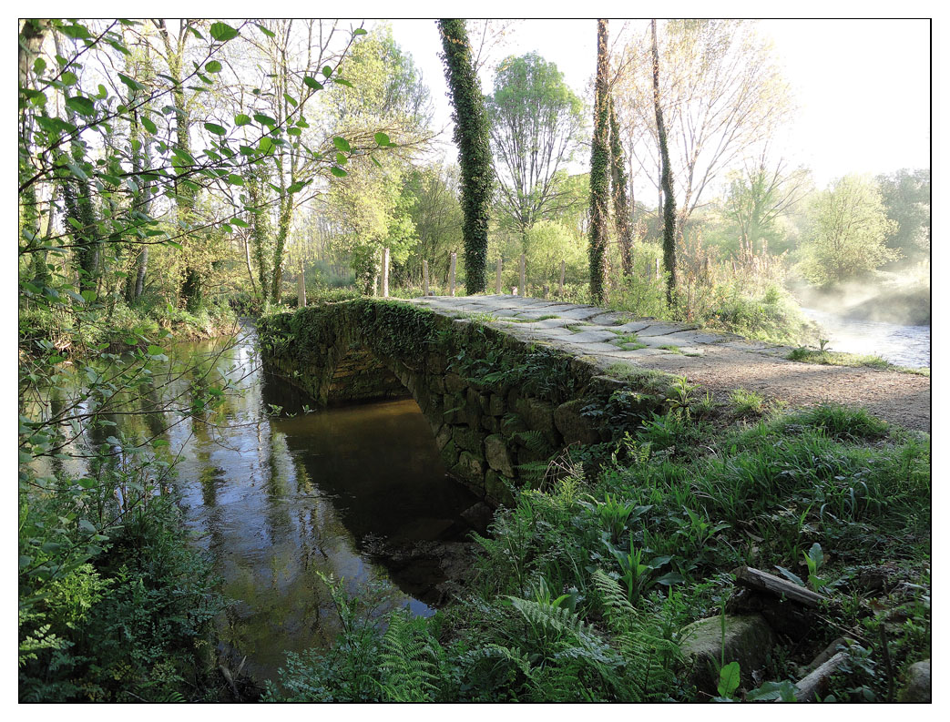 Camino Portugues 2011 (12)