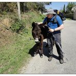 Camino Portugues 2011 (13)