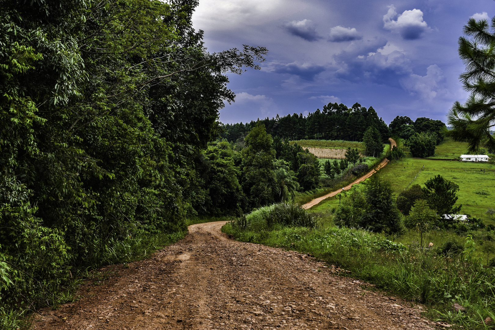  CAMINO ROJO