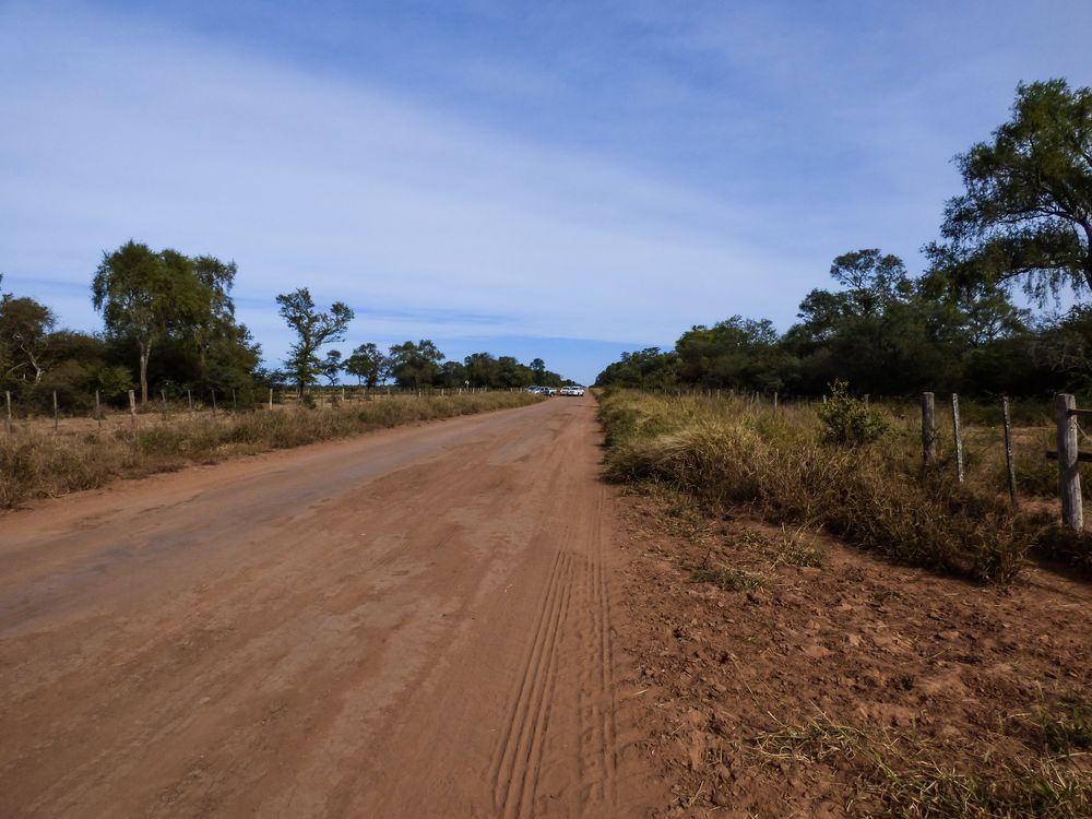 Camino rural