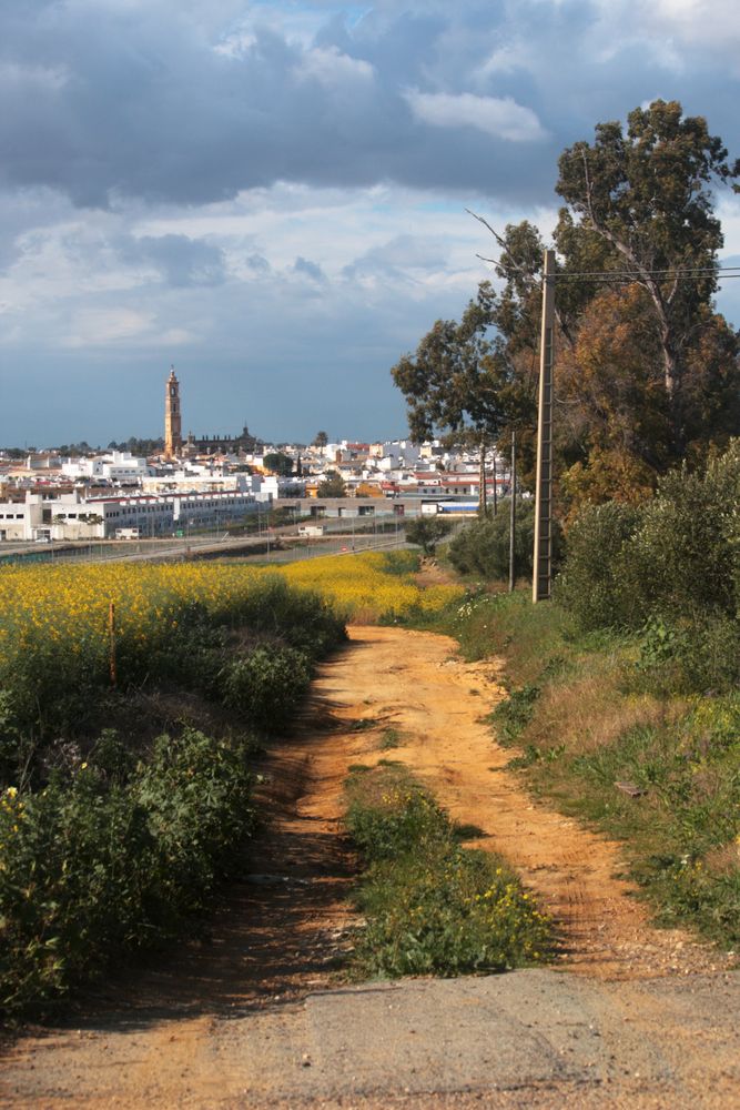 camino rural en Utrera