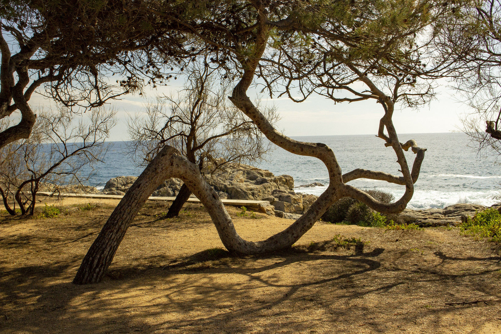 Camino S´Agaró, Maresme, Mediterráneo