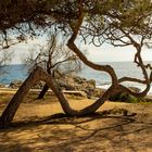 Camino S´Agaró, Maresme, Mediterráneo