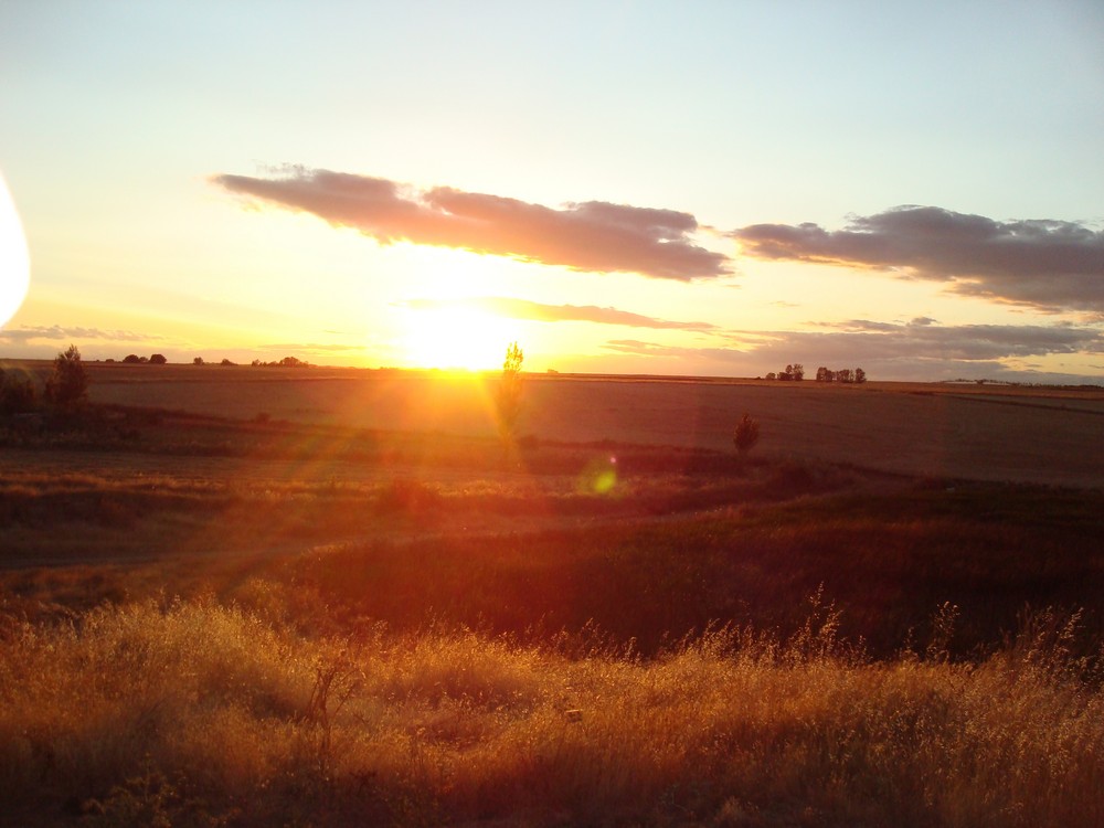 Camino - Sonnenuntergang bei Bercianos