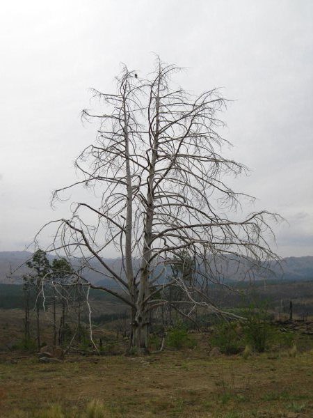 Camino Villa Alpina, Córdoba, Argentina