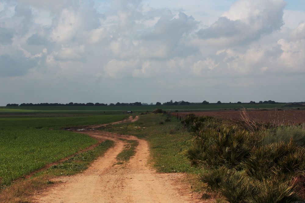 camino y vallado entre fincas