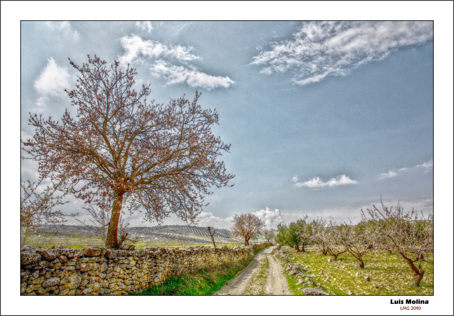 Caminos