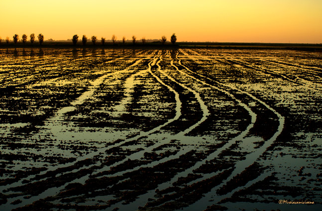 CAMINOS DE AGUA