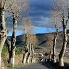 caminos de alpujarra,almeria